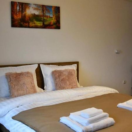Pricop Residence Baia Mare Exteriér fotografie