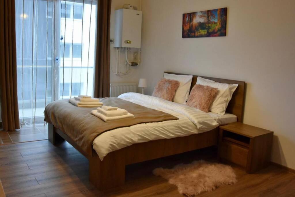 Pricop Residence Baia Mare Exteriér fotografie