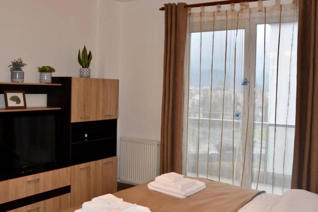 Pricop Residence Baia Mare Exteriér fotografie