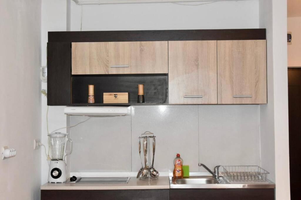Pricop Residence Baia Mare Exteriér fotografie