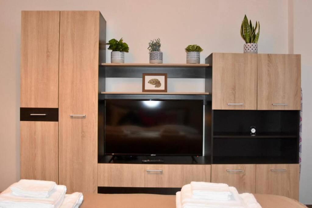 Pricop Residence Baia Mare Exteriér fotografie